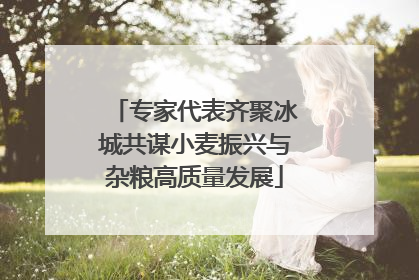 专家代表齐聚冰城共谋小麦振兴与杂粮高质量发展
