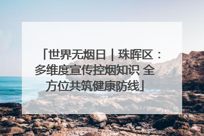 世界无烟日｜珠晖区：多维度宣传控烟知识 全方位共筑健康防线