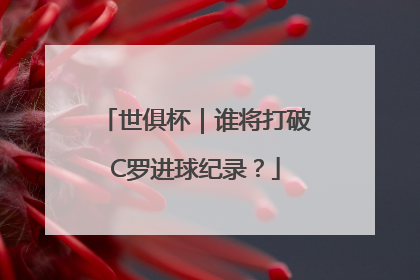 世俱杯｜谁将打破C罗进球纪录？