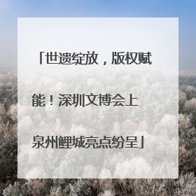 世遗绽放，版权赋能！深圳文博会上 泉州鲤城亮点纷呈