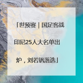 世预赛｜国足客战印尼25人大名单出炉，刘若钒落选