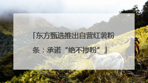 东方甄选推出自营红薯粉条：承诺“绝不掺粉”