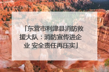 东营市利津县消防救援大队：消防宣传进企业 安全责任再压实