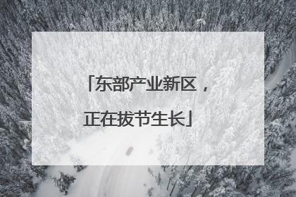 东部产业新区，正在拔节生长