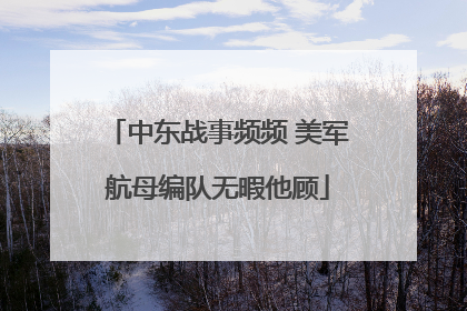中东战事频频 美军航母编队无暇他顾