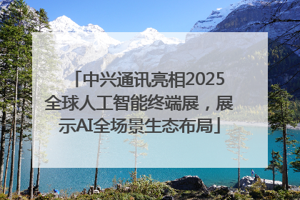 中兴通讯亮相2025全球人工智能终端展，展示AI全场景生态布局
