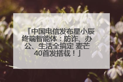 中国电信发布星小辰终端智能体：防诈、办公、生活全搞定 麦芒40首发搭载！