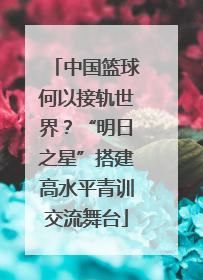 中国篮球何以接轨世界？“明日之星”搭建高水平青训交流舞台
