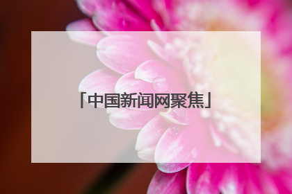 中国新闻网聚焦