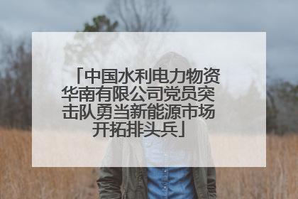 中国水利电力物资华南有限公司党员突击队勇当新能源市场开拓排头兵