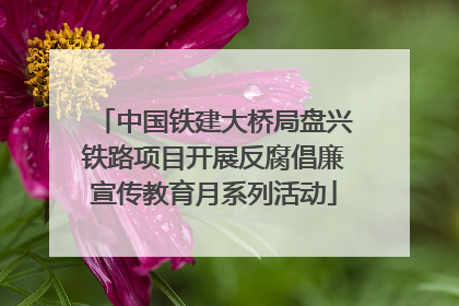 中国铁建大桥局盘兴铁路项目开展反腐倡廉宣传教育月系列活动
