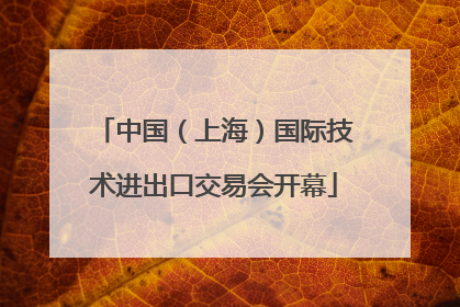 中国（上海）国际技术进出口交易会开幕