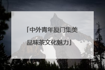 中外青年厦门集美品味茶文化魅力