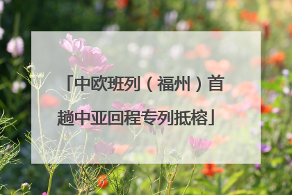 中欧班列（福州）首趟中亚回程专列抵榕