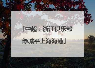 中超：浙江俱乐部绿城平上海海港