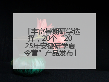 丰富暑期研学选择，20个“2025年安徽研学夏令营”产品发布