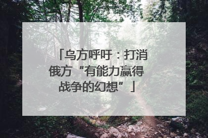 乌方呼吁：打消俄方“有能力赢得战争的幻想”