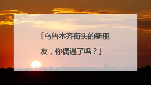 乌鲁木齐街头的新朋友，你偶遇了吗？