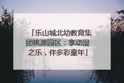 乐山城北幼教育集团桃源园区：享动漫之乐，伴多彩童年