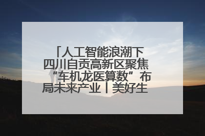 人工智能浪潮下 四川自贡高新区聚焦“车机龙医算数”布局未来产业丨美好生活有“盐”味