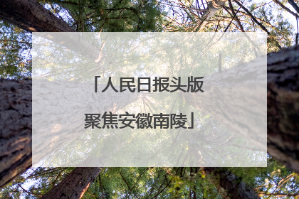 人民日报头版聚焦安徽南陵