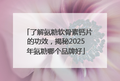 了解氨糖软骨素钙片的功效，揭秘2025年氨糖哪个品牌好