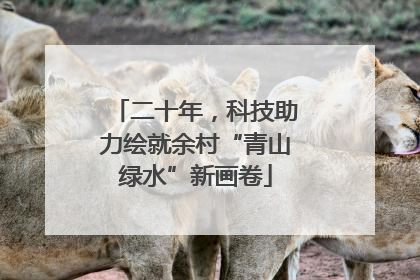 二十年，科技助力绘就余村“青山绿水”新画卷
