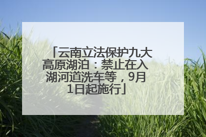 云南立法保护九大高原湖泊：禁止在入湖河道洗车等，9月1日起施行