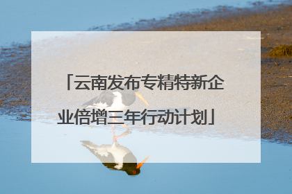 云南发布专精特新企业倍增三年行动计划
