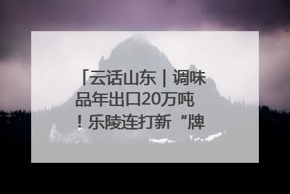 云话山东｜调味品年出口20万吨！乐陵连打新“牌”助力企业出海