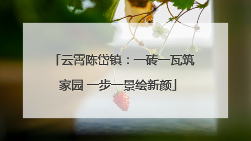 云霄陈岱镇：一砖一瓦筑家园 一步一景绘新颜