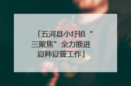 五河县小圩镇“三聚焦”全力推进夏种夏管工作