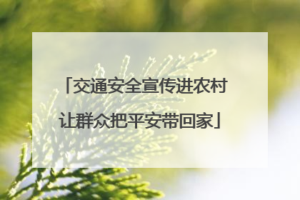 交通安全宣传进农村 让群众把平安带回家