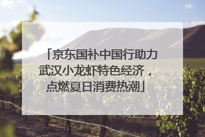 京东国补中国行助力武汉小龙虾特色经济，点燃夏日消费热潮