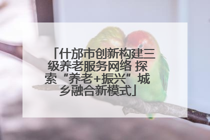 什邡市创新构建三级养老服务网络 探索“养老+振兴”城乡融合新模式
