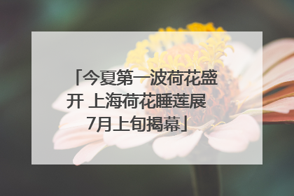 今夏第一波荷花盛开 上海荷花睡莲展7月上旬揭幕