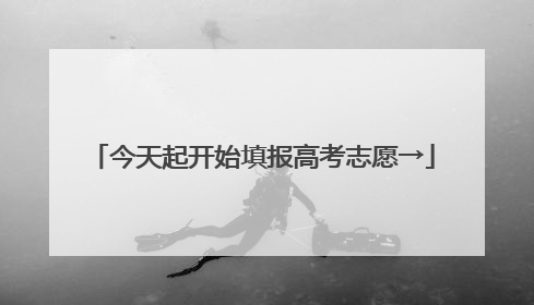 今天起开始填报高考志愿→