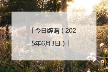 今日辟谣(2025年6月3日)