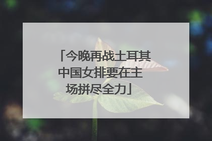 今晚再战土耳其 中国女排要在主场拼尽全力
