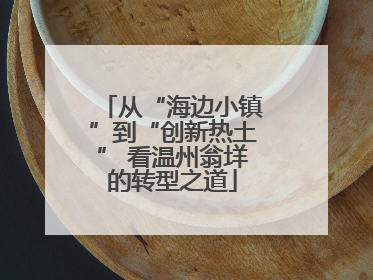从“海边小镇”到“创新热土” 看温州翁垟的转型之道
