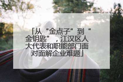 从“金点子”到“金钥匙”，江汉区人大代表和职能部门面对面解企业难题