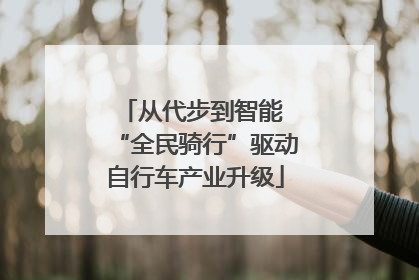 从代步到智能 “全民骑行”驱动自行车产业升级