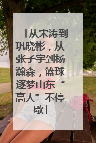 从宋涛到巩晓彬，从张子宇到杨瀚森，篮球逐梦山东“高人”不停歇