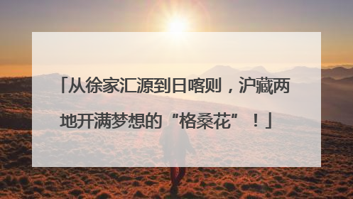 从徐家汇源到日喀则，沪藏两地开满梦想的“格桑花”！