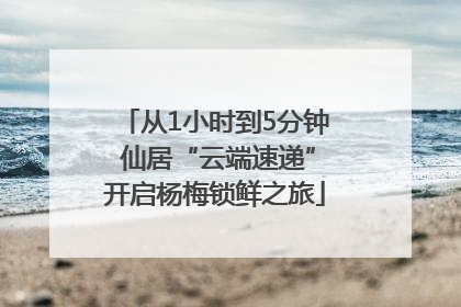 从1小时到5分钟 仙居“云端速递”开启杨梅锁鲜之旅