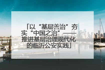 以“基层善治”夯实“中国之治”——推进基层治理现代化的临沂公安实践