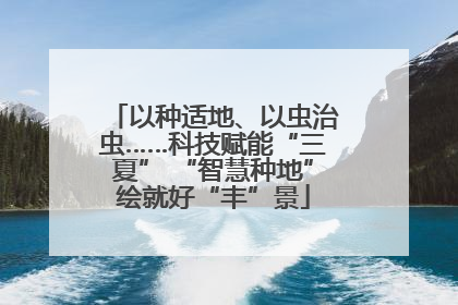 以种适地、以虫治虫……科技赋能“三夏” “智慧种地”绘就好“丰”景