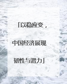以稳应变，中国经济展现韧性与潜力