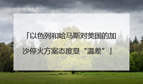 以色列和哈马斯对美国的加沙停火方案态度显“温差”