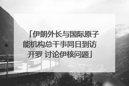 伊朗外长与国际原子能机构总干事同日到访开罗 讨论伊核问题